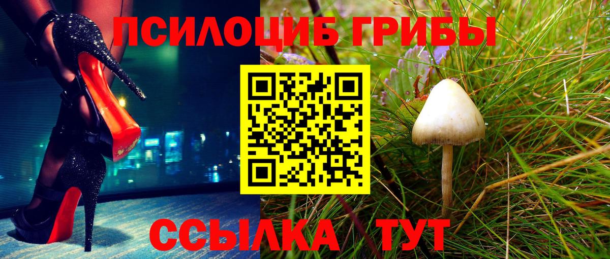 Галлюциногенные грибы прущие грибы Черногорск